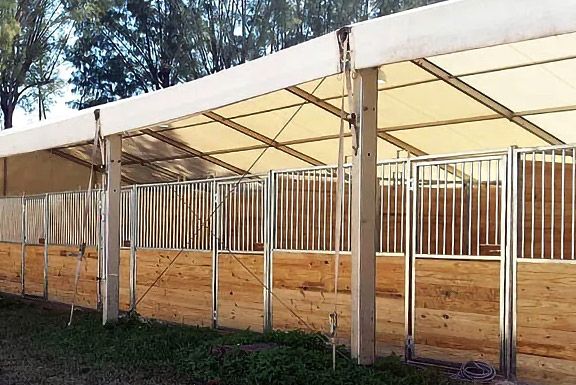 Card image cap for Tent Ratchet Straps Using 1