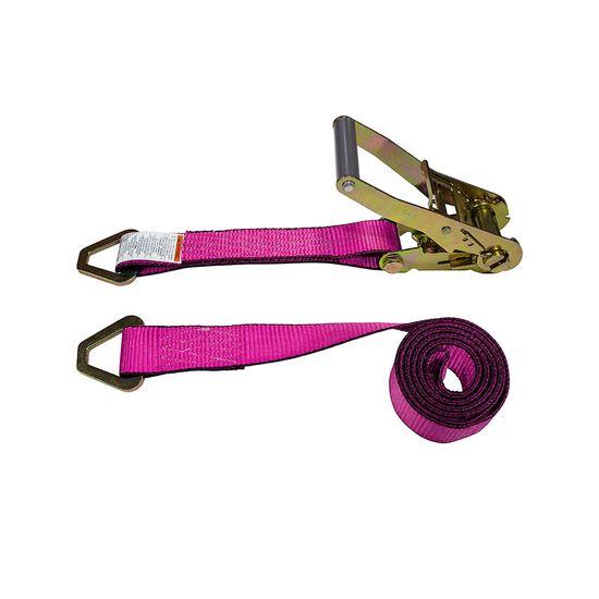 572642P-12 2 x 26 Ratchet Strap with Delta Rings - Pink