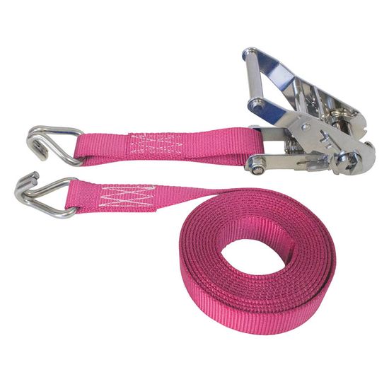 71SS1281SSP-6 1 x 12 Stainless Steel Ratchet Strap With Stainless Steel Wire Hooks - Pink