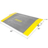 ADP-3660-4100 36 x 60 38 Thick Guardian Aluminum Dock Plate 4