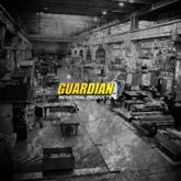 SDB-13-60-60 60 x 60 Guardian Steel Dock Boards - 13000 lb Capacity 8